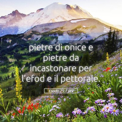 Picture 05 - Esodo 25:7 RIV - pietre di onice e pietre da incastonare per - Bible Verse Picture