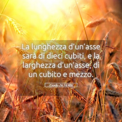 Picture 05 - Esodo 26:16 RIV - La lunghezza d’un’asse sarà di dieci cubiti, - Bible Verse Picture