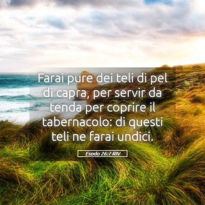Picture 05 - Esodo 26:7 RIV - Farai pure dei teli di pel di capra, per servir - Bible Verse Picture