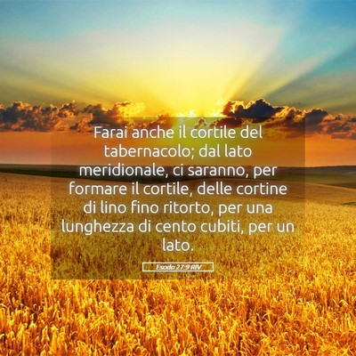Picture 05 - Esodo 27:9 RIV - Farai anche il cortile del tabernacolo; dal lato - Bible Verse Picture