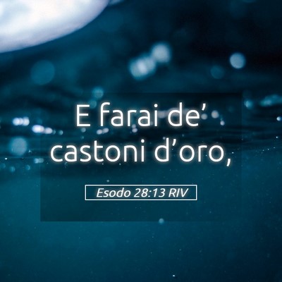 Picture 05 - Esodo 28:13 RIV - E farai de’ castoni - Bible Verse Picture