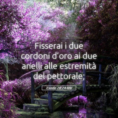 Picture 05 - Esodo 28:24 RIV - Fisserai i due cordoni d’oro ai due anelli alle - Bible Verse Picture