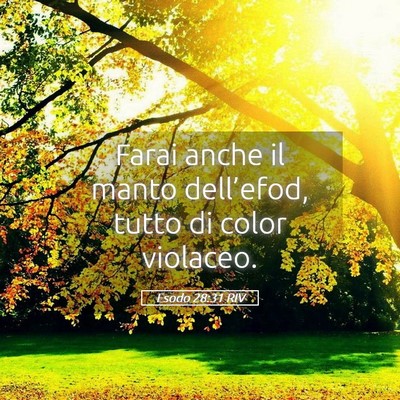 Picture 05 - Esodo 28:31 RIV - Farai anche il manto dell’efod, tutto di color - Bible Verse Picture