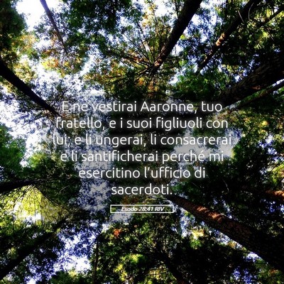 Picture 05 - Esodo 28:41 RIV - E ne vestirai Aaronne, tuo fratello, e i suoi - Bible Verse Picture