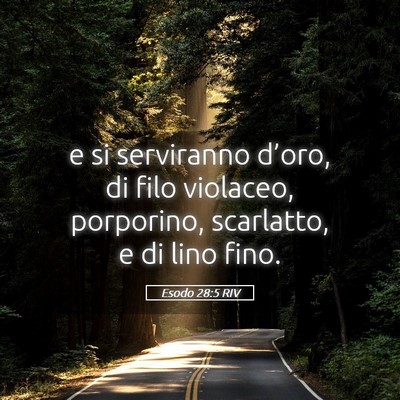 Picture 05 - Esodo 28:5 RIV - e si serviranno d’oro, di filo violaceo, - Bible Verse Picture
