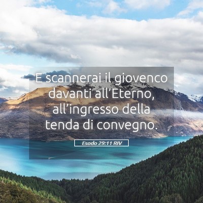Picture 05 - Esodo 29:11 RIV - E scannerai il giovenco davanti all’Eterno, - Bible Verse Picture