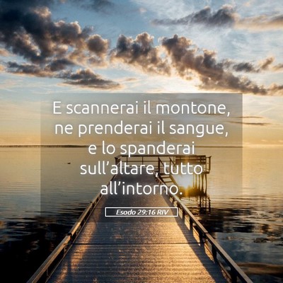 Picture 05 - Esodo 29:16 RIV - E scannerai il montone, ne prenderai il sangue, e - Bible Verse Picture