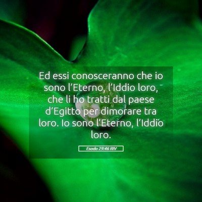 Picture 05 - Esodo 29:46 RIV - Ed essi conosceranno che io sono l’Eterno, - Bible Verse Picture