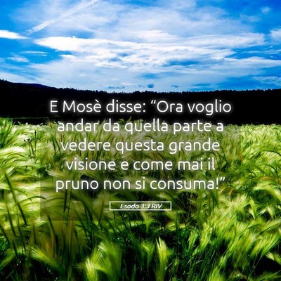 Picture 05 - Esodo 3:3 RIV - E Mosè disse: “Ora voglio andar da quella - Bible Verse Picture