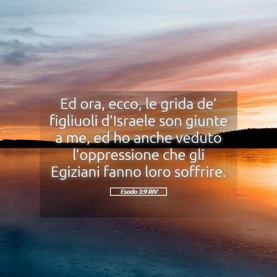 Picture 05 - Esodo 3:9 RIV - Ed ora, ecco, le grida de’ figliuoli - Bible Verse Picture