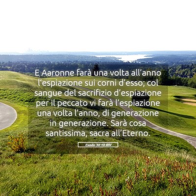 Picture 05 - Esodo 30:10 RIV - E Aaronne farà una volta all’anno - Bible Verse Picture