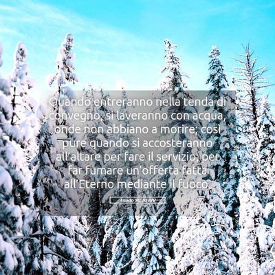 Picture 05 - Esodo 30:20 RIV - Quando entreranno nella tenda di convegno, si - Bible Verse Picture