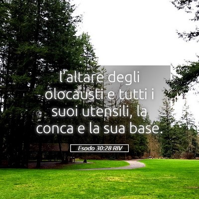 Picture 05 - Esodo 30:28 RIV - l’altare degli olocausti e tutti i suoi - Bible Verse Picture