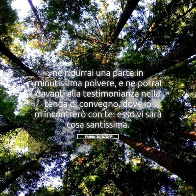 Picture 05 - Esodo 30:36 RIV - ne ridurrai una parte in minutissima polvere, e - Bible Verse Picture