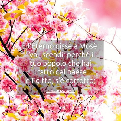 Picture 05 - Esodo 32:7 RIV - E l’Eterno disse a Mosè: “Va’, scendi; - Bible Verse Picture