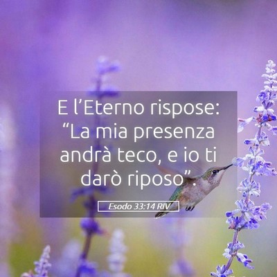 Picture 05 - Esodo 33:14 RIV - E l’Eterno rispose: “La mia presenza andrà - Bible Verse Picture