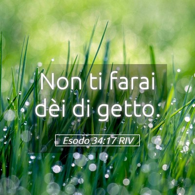 Picture 05 - Esodo 34:17 RIV - Non ti farai dèi di - Bible Verse Picture