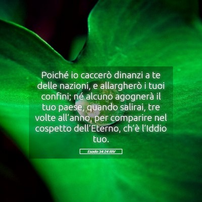 Picture 05 - Esodo 34:24 RIV - Poiché io caccerò dinanzi a te delle nazioni, e - Bible Verse Picture