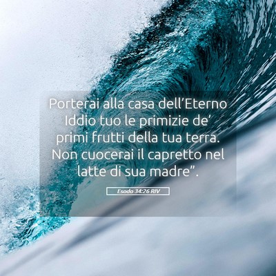 Picture 05 - Esodo 34:26 RIV - Porterai alla casa dell’Eterno Iddio tuo le - Bible Verse Picture