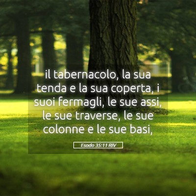 Picture 05 - Esodo 35:11 RIV - il tabernacolo, la sua tenda e la sua coperta, i - Bible Verse Picture
