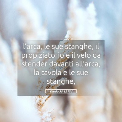 Picture 05 - Esodo 35:12 RIV - l’arca, le sue stanghe, il propiziatorio e il - Bible Verse Picture