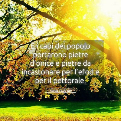 Picture 05 - Esodo 35:27 RIV - E i capi dei popolo portarono pietre d’onice e - Bible Verse Picture