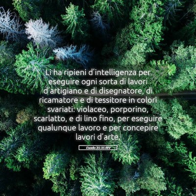Picture 05 - Esodo 35:35 RIV - Li ha ripieni d’intelligenza per eseguire ogni - Bible Verse Picture