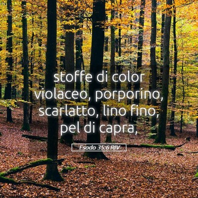 Picture 05 - Esodo 35:6 RIV - stoffe di color violaceo, porporino, scarlatto, - Bible Verse Picture