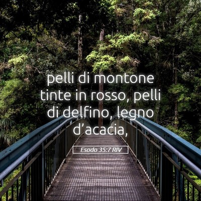 Picture 05 - Esodo 35:7 RIV - pelli di montone tinte in rosso, pelli di - Bible Verse Picture