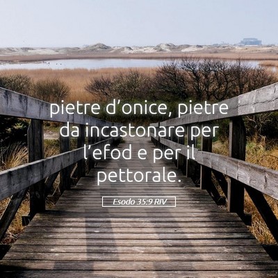 Picture 05 - Esodo 35:9 RIV - pietre d’onice, pietre da incastonare per - Bible Verse Picture