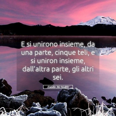 Picture 05 - Esodo 36:16 RIV - E si unirono insieme, da una parte, cinque teli, - Bible Verse Picture