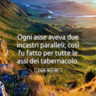 Picture 05 - Esodo 36:22 RIV - Ogni asse aveva due incastri paralleli; così fu - Bible Verse Picture