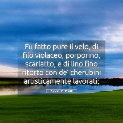 Picture 05 - Esodo 36:35 RIV - Fu fatto pure il velo, di filo violaceo, - Bible Verse Picture