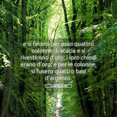 Picture 05 - Esodo 36:36 RIV - e si fecero per esso quattro colonne di acacia e - Bible Verse Picture