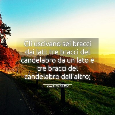 Picture 05 - Esodo 37:18 RIV - Gli uscivano sei bracci dai lati: tre bracci del - Bible Verse Picture