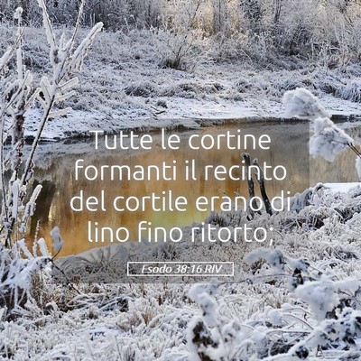 Picture 05 - Esodo 38:16 RIV - Tutte le cortine formanti il recinto del cortile - Bible Verse Picture