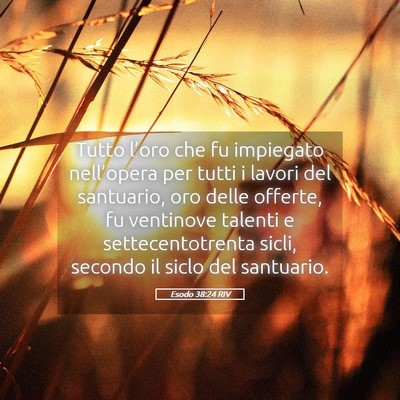 Picture 05 - Esodo 38:24 RIV - Tutto l’oro che fu impiegato nell’opera per - Bible Verse Picture
