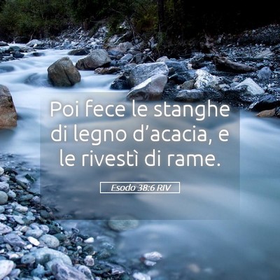 Picture 05 - Esodo 38:6 RIV - Poi fece le stanghe di legno d’acacia, e le - Bible Verse Picture