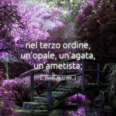 Picture 05 - Esodo 39:12 RIV - nel terzo ordine, un’opale, un’agata, - Bible Verse Picture