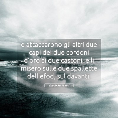 Picture 05 - Esodo 39:18 RIV - e attaccarono gli altri due capi dei due cordoni - Bible Verse Picture