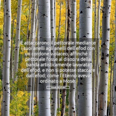 Picture 05 - Esodo 39:21 RIV - E attaccarono il pettorale mediante i suoi anelli - Bible Verse Picture
