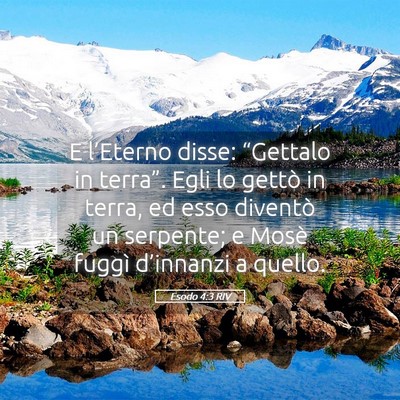 Picture 05 - Esodo 4:3 RIV - E l’Eterno disse: “Gettalo in terra”. Egli - Bible Verse Picture