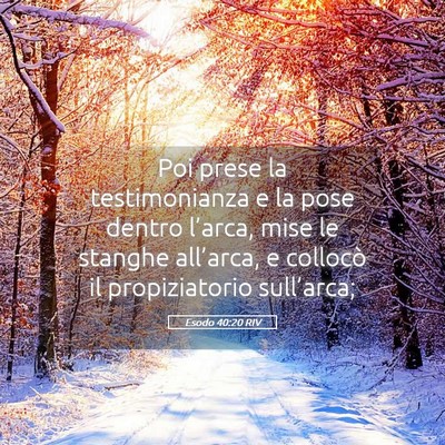 Picture 05 - Esodo 40:20 RIV - Poi prese la testimonianza e la pose dentro - Bible Verse Picture