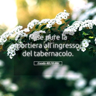 Picture 05 - Esodo 40:28 RIV - Mise pure la portiera all’ingresso del - Bible Verse Picture