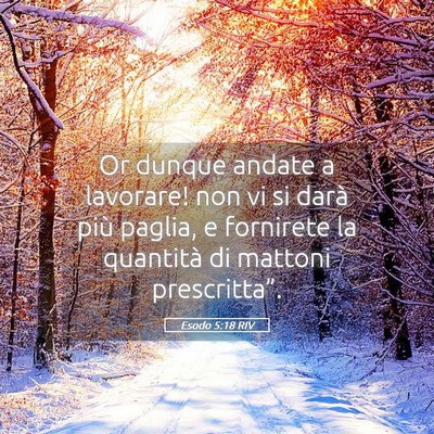 Picture 05 - Esodo 5:18 RIV - Or dunque andate a lavorare! non vi si darà più - Bible Verse Picture