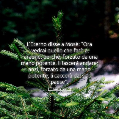Picture 05 - Esodo 6:1 RIV - L’Eterno disse a Mosè: “Ora vedrai quello - Bible Verse Picture