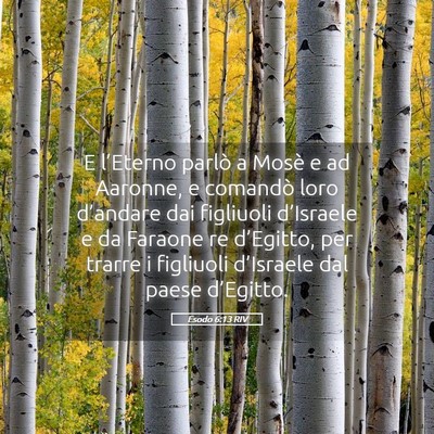 Picture 05 - Esodo 6:13 RIV - E l’Eterno parlò a Mosè e ad Aaronne, e - Bible Verse Picture