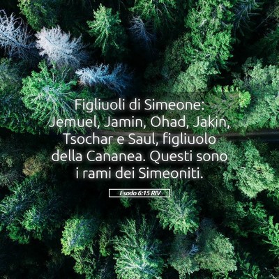 Picture 05 - Esodo 6:15 RIV - Figliuoli di Simeone: Jemuel, Jamin, Ohad, Jakin, - Bible Verse Picture