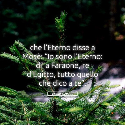 Picture 05 - Esodo 6:29 RIV - che l’Eterno disse a Mosè: “Io sono - Bible Verse Picture