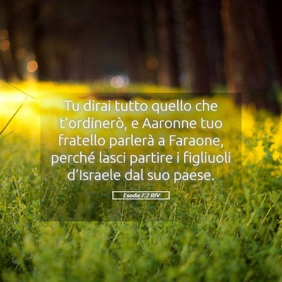 Picture 05 - Esodo 7:2 RIV - Tu dirai tutto quello che t’ordinerò, e - Bible Verse Picture